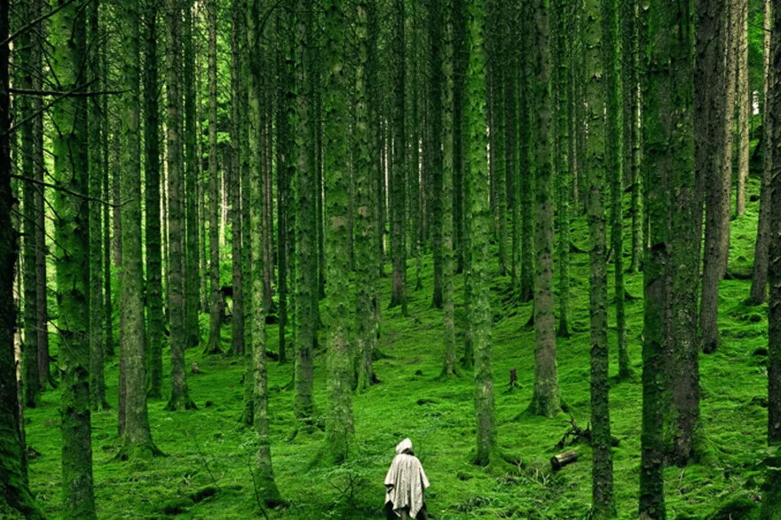 Test Place order featured image